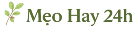 Logo Mẹo Hay 24h – Chia sẻ mẹo sức khỏe, công thức healthy, mẹo nhà bếp, đồ gia dụng gia đình, bữa sáng dinh dưỡng và kinh nghiệm sống mỗi ngày.